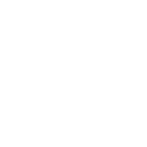 Patagonia